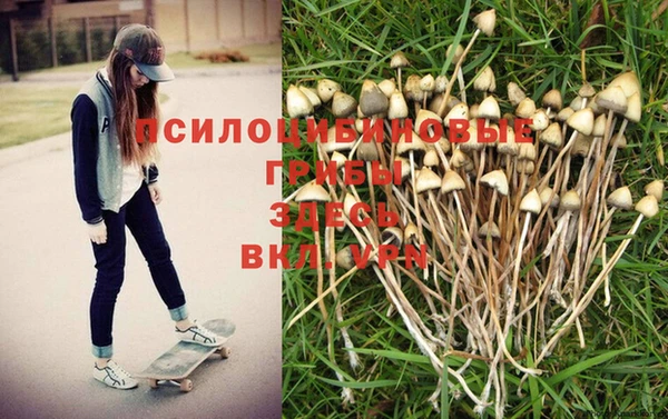 метамфетамин Арсеньев